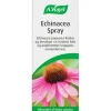 A. VOGEL ECHINACEA SPRAY