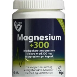 BIOSYM MAGNESIUM+300 (60 STK.)