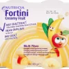 FORTINI CREAMY FRUIT MULTI FIBRE