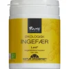 INGEFÆR KAPSLER DK-ØKO-100